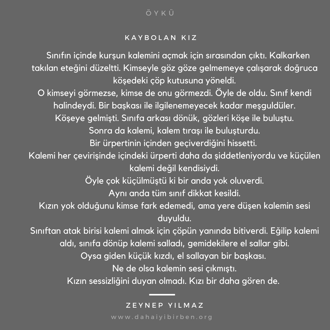 Kaybolan kız.png