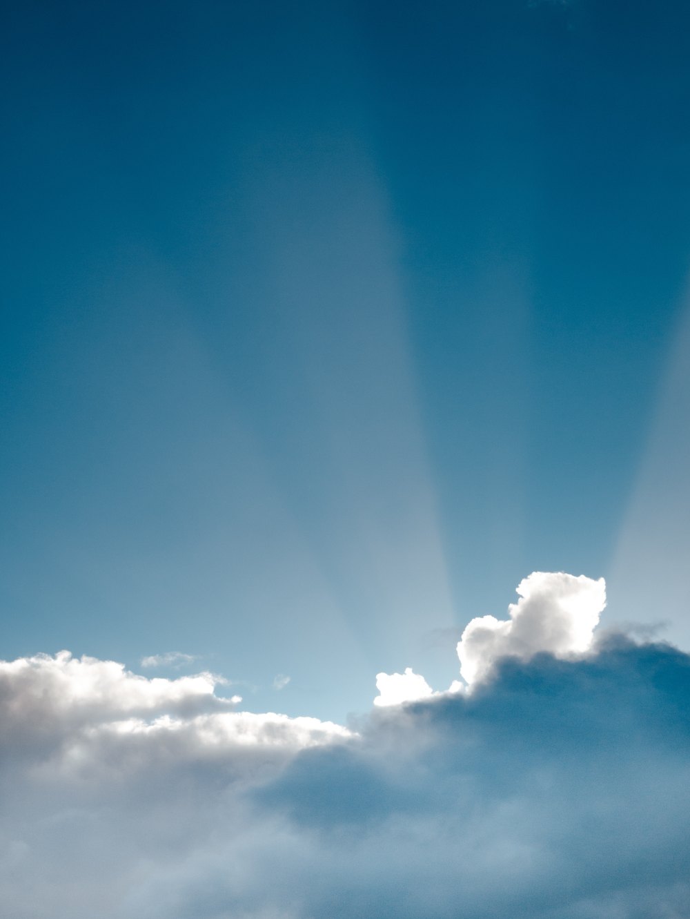 Bir Sorunu Çözebilecek Olsanız, Hangi Sorunu Çözerdiniz?